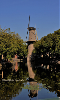 Schiedam molen met reflectie