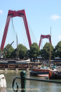 Willemsbrug Rotterdam