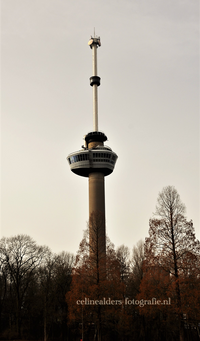 Euromast