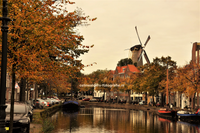 Schiedam korte haven herfstkleuren