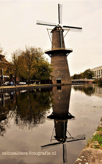 molen De Noordt