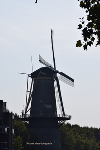 Molen Schiedam 3