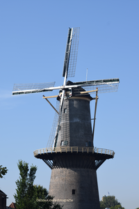 Molen Schiedam 5