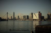 Willemsbrug reflectie in de maas