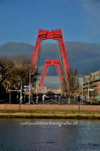 willemsbrug maas