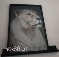 40x60 cm &euro; 48,= (ingelijst)